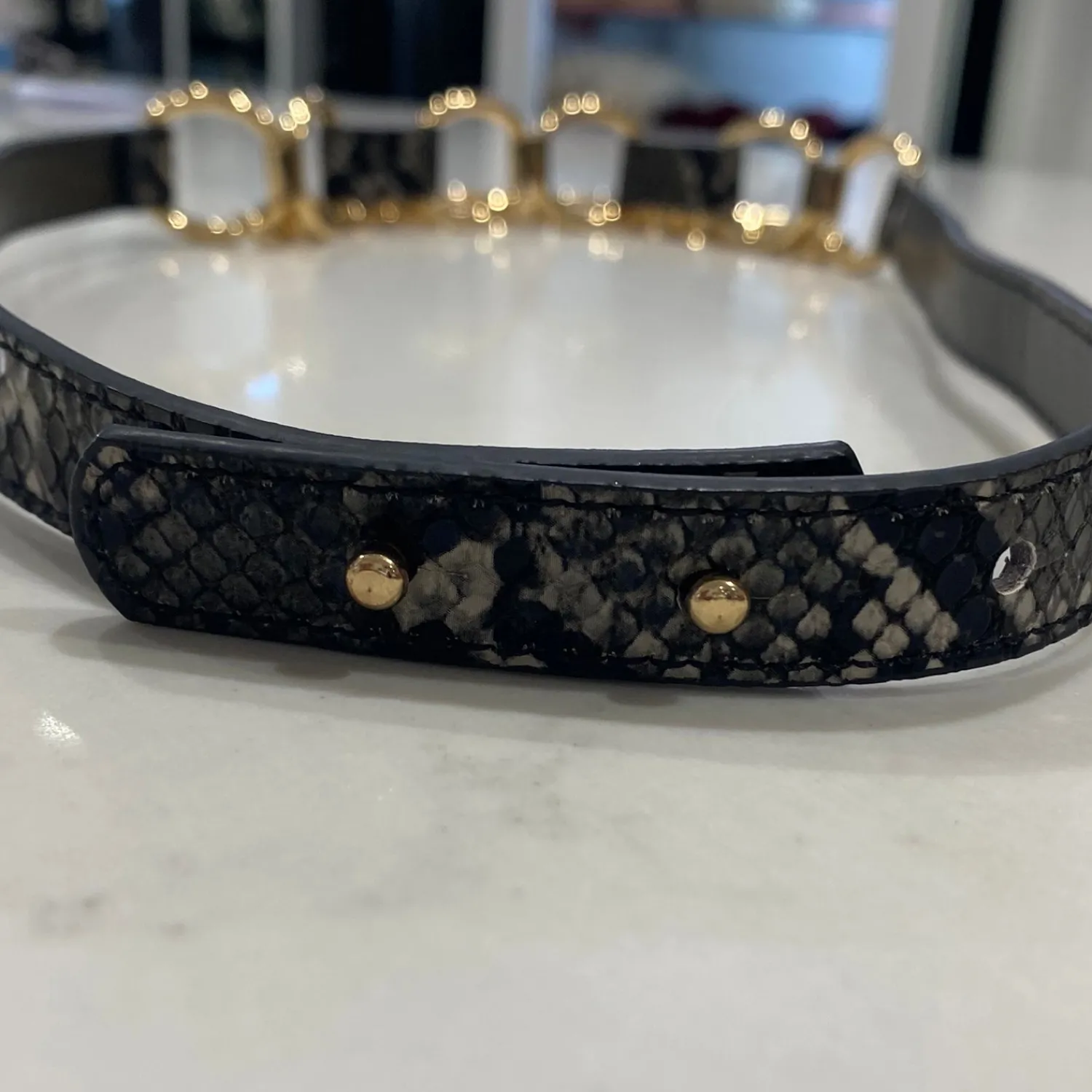Online Charcoal Reptilian Belt Belts