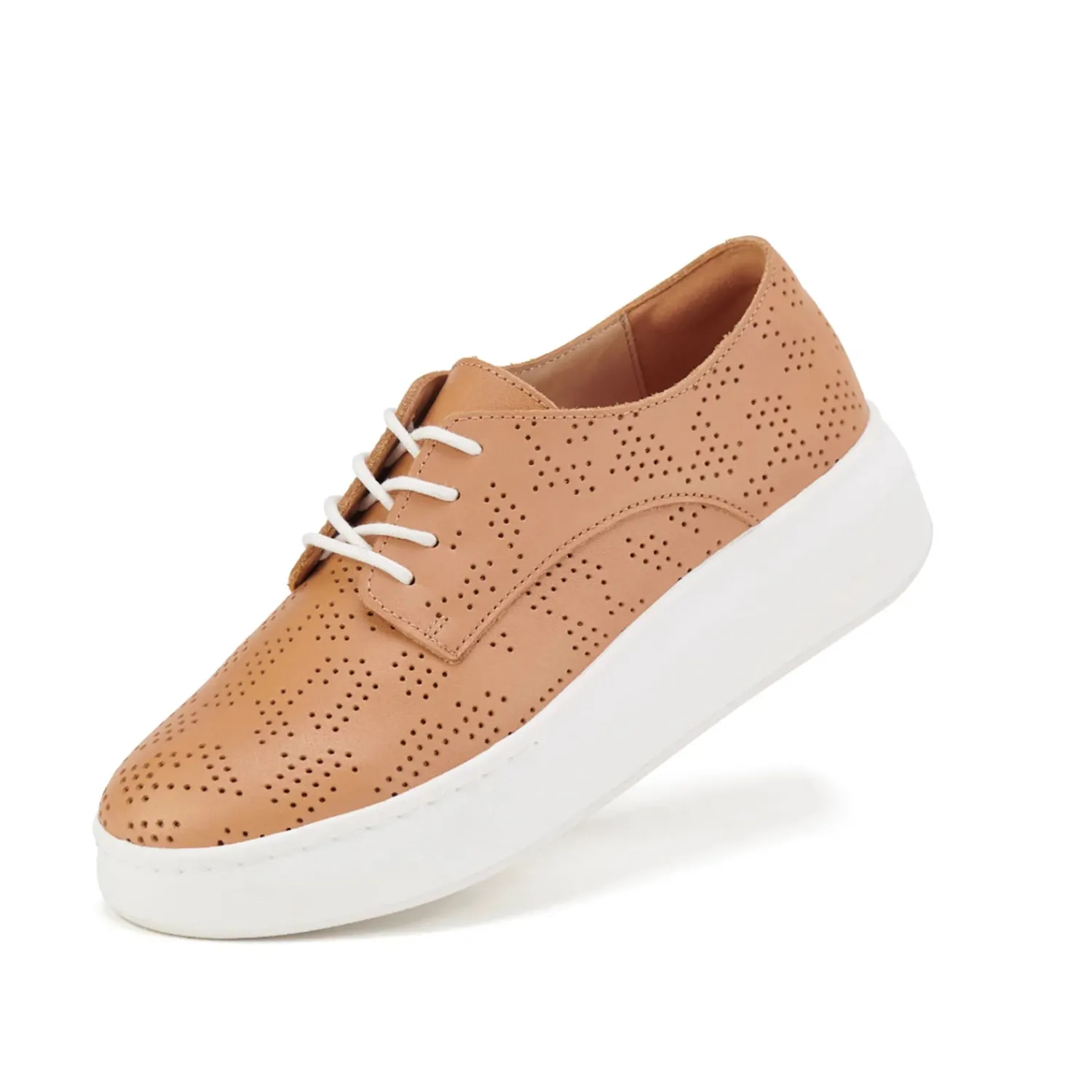 Derby City Maze | Tan | RO6 Casual Shoes