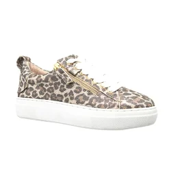 Clearance Maize Sneaker - Champagne Leopard - AE18 Sneakers
